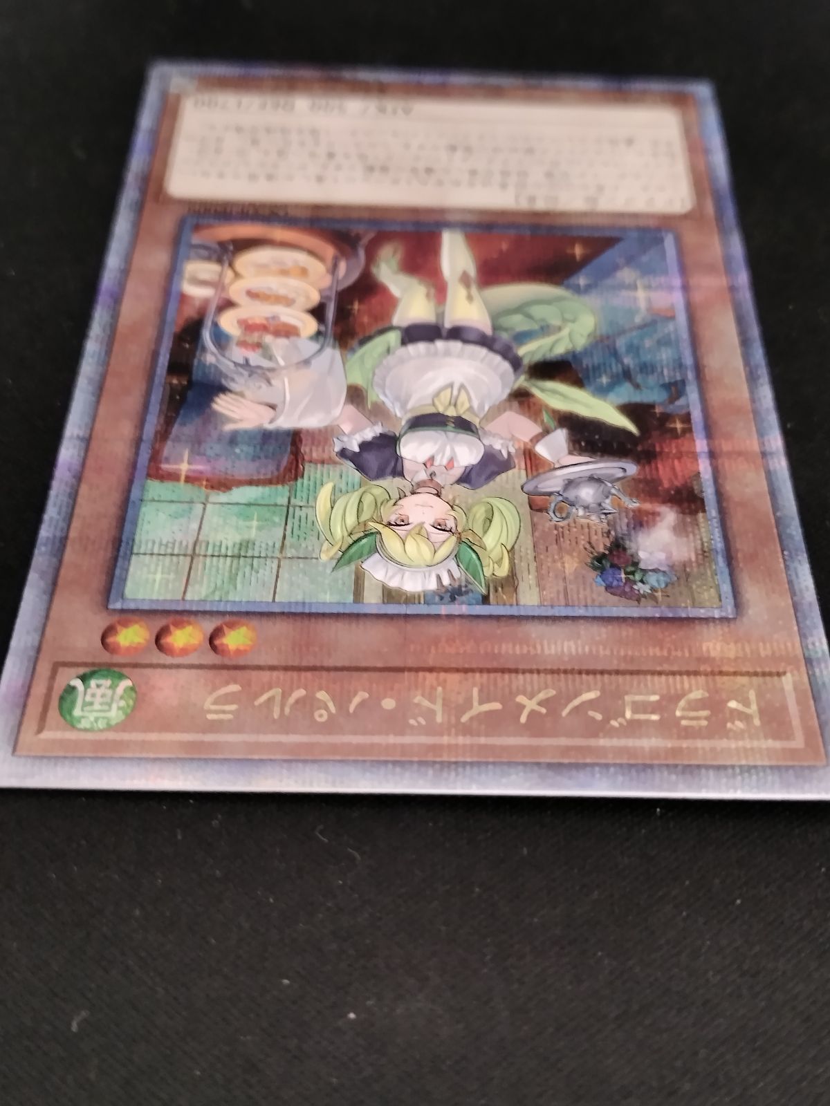 【未使用】遊戯王　ドラゴンメイド・パルラ　25thシク ドラゴンメイド・パルラ 25th クオシク クォーターセンチュリー