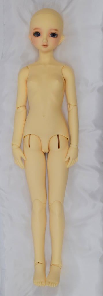 スタンダードモデル