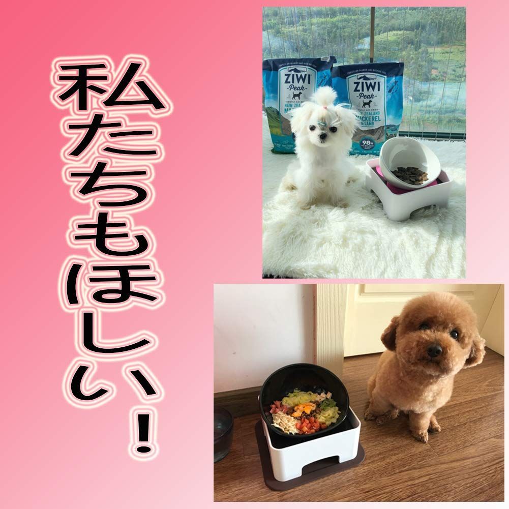 色: ブラック】TAKIMI 犬 食器 陶器 犬用 食事 皿 いぬ フレンチブ メルカリShops