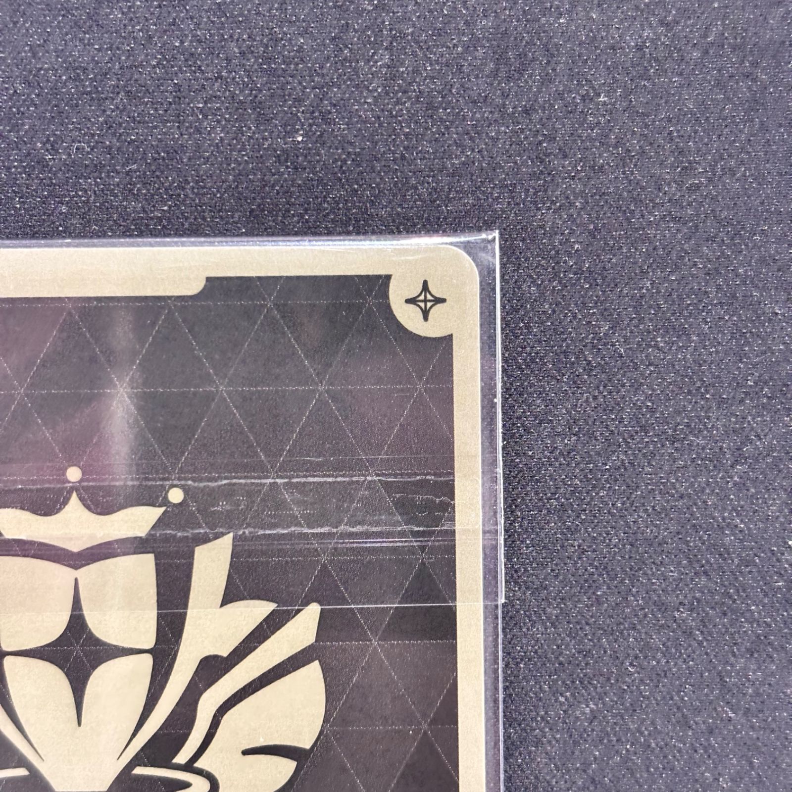 フレンドリーパソコン 全国大会