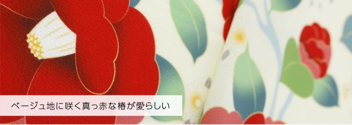 刺繍入り 京都絵師描き下ろし本格柄