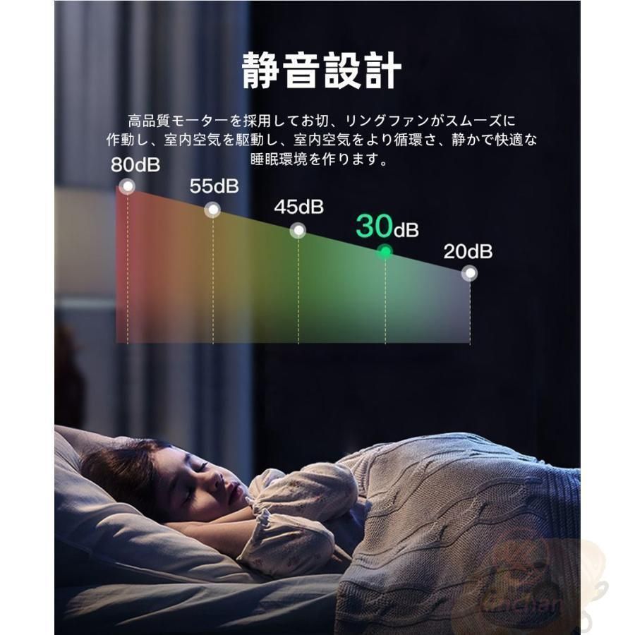 天井 扇風機