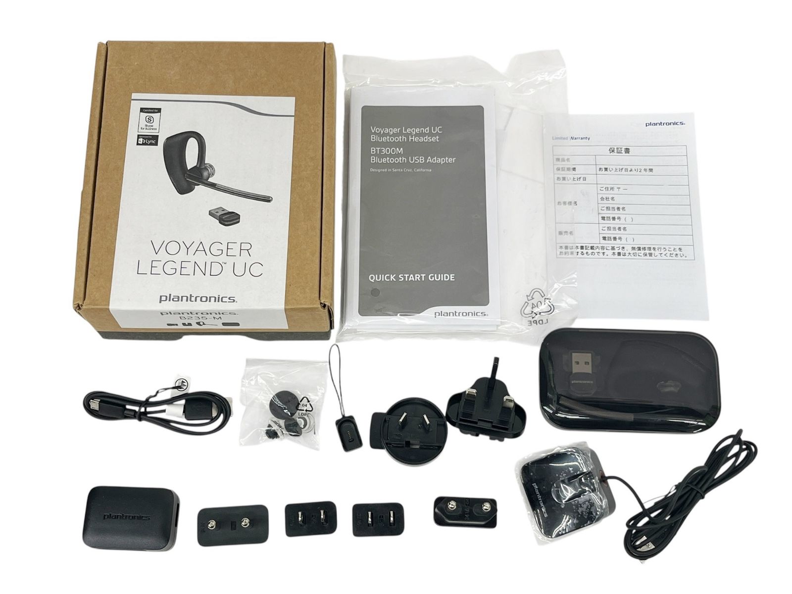 片耳 イヤフックタイプ