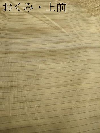 平和屋着物○本場染大島紬 訪問着 段霞文 ますいわ屋扱い