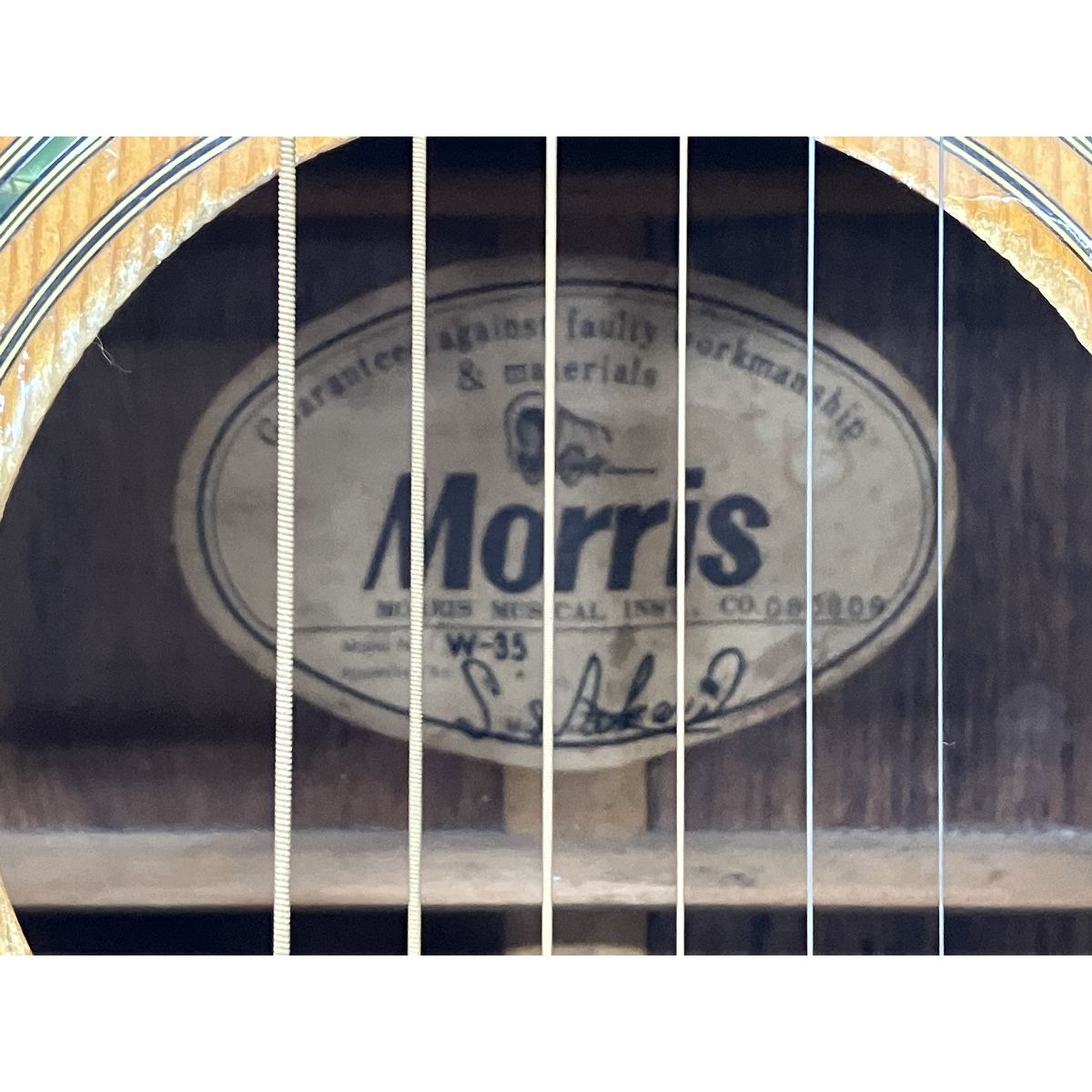 Morris W-35 アコースティックギター モーリス ジャパン
