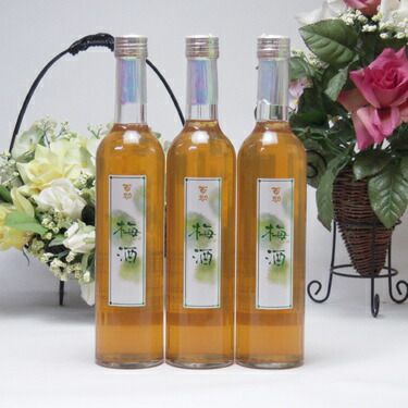 12本セット 南高梅を漬け熟成した梅酒 500ｍｌ井上酒造 百助 大分県