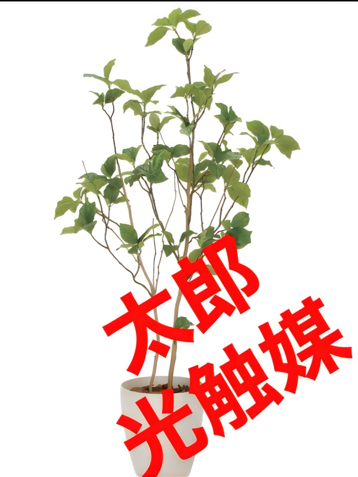 光触媒 人工観葉植物 購入 ウォールグリーン フェイクグリーン