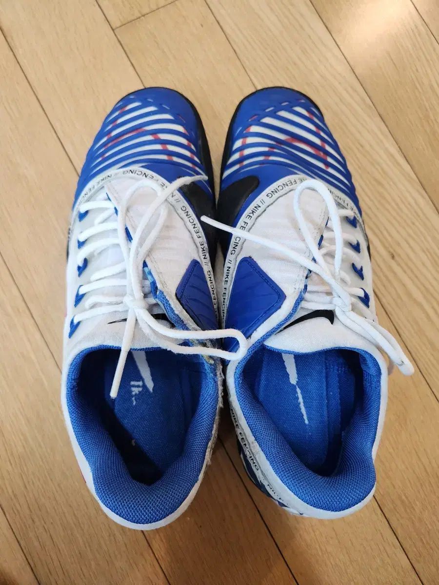 NIKE(ナイキ) バレストラ フェンシングシューズ 7T