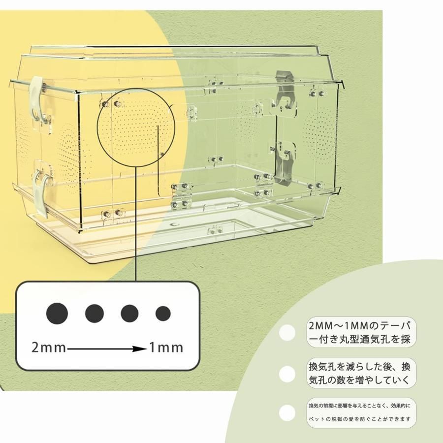 アクリル繁殖ケージ トカゲ