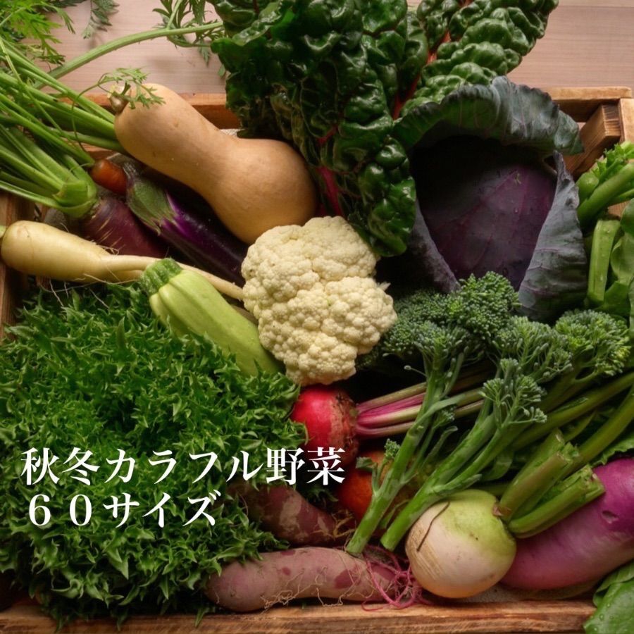 冬のカラフル野菜、コンパクト便 - 野菜