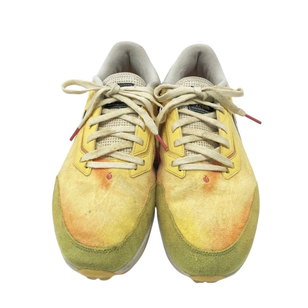 NIKE GOLF ナイキゴルフ DX9047-701 ゴルフシューズ
