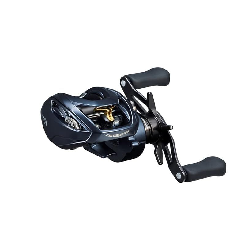 ダイワ(DAIWA) ベイトリール STEEZ(スティーズ) AII TW 1000L 2022年