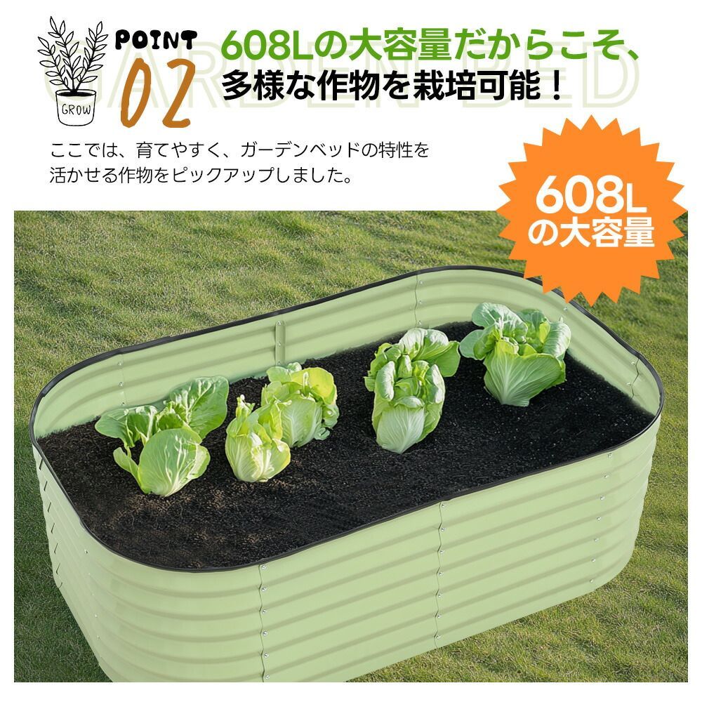 野菜 植物