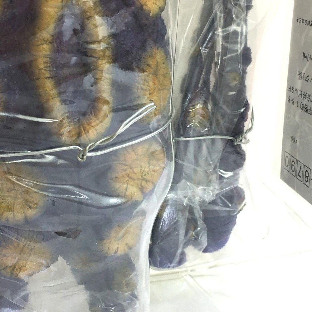 大怪獣シリーズ
