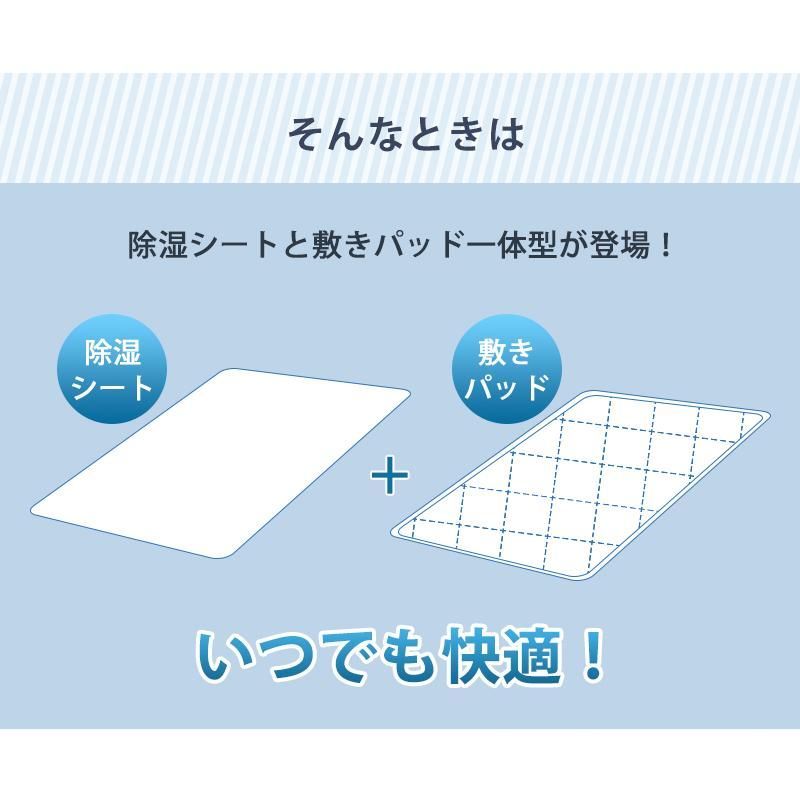 280x200cm春夏 除湿マット