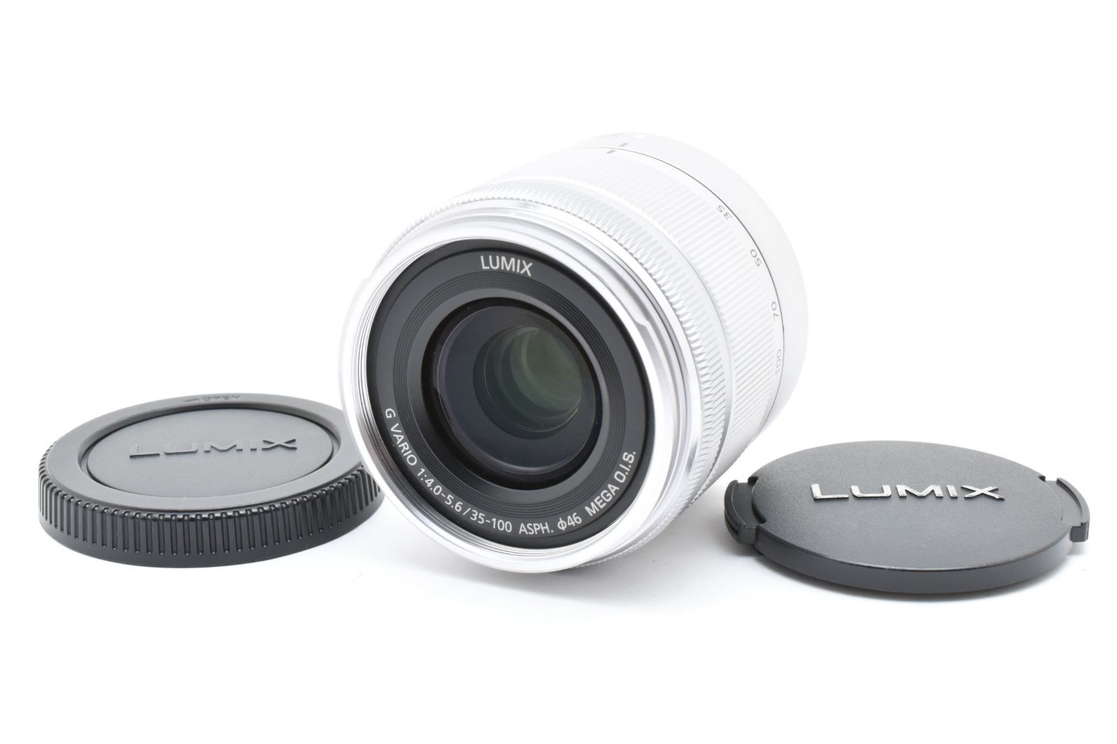 2024 クロコダイル（シャムワニ）1枚 B品 グレー 特価 現品限り