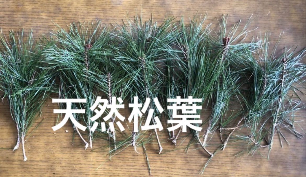 無農薬！天然赤松の葉 1.3キロ！松葉茶 - メルカリ