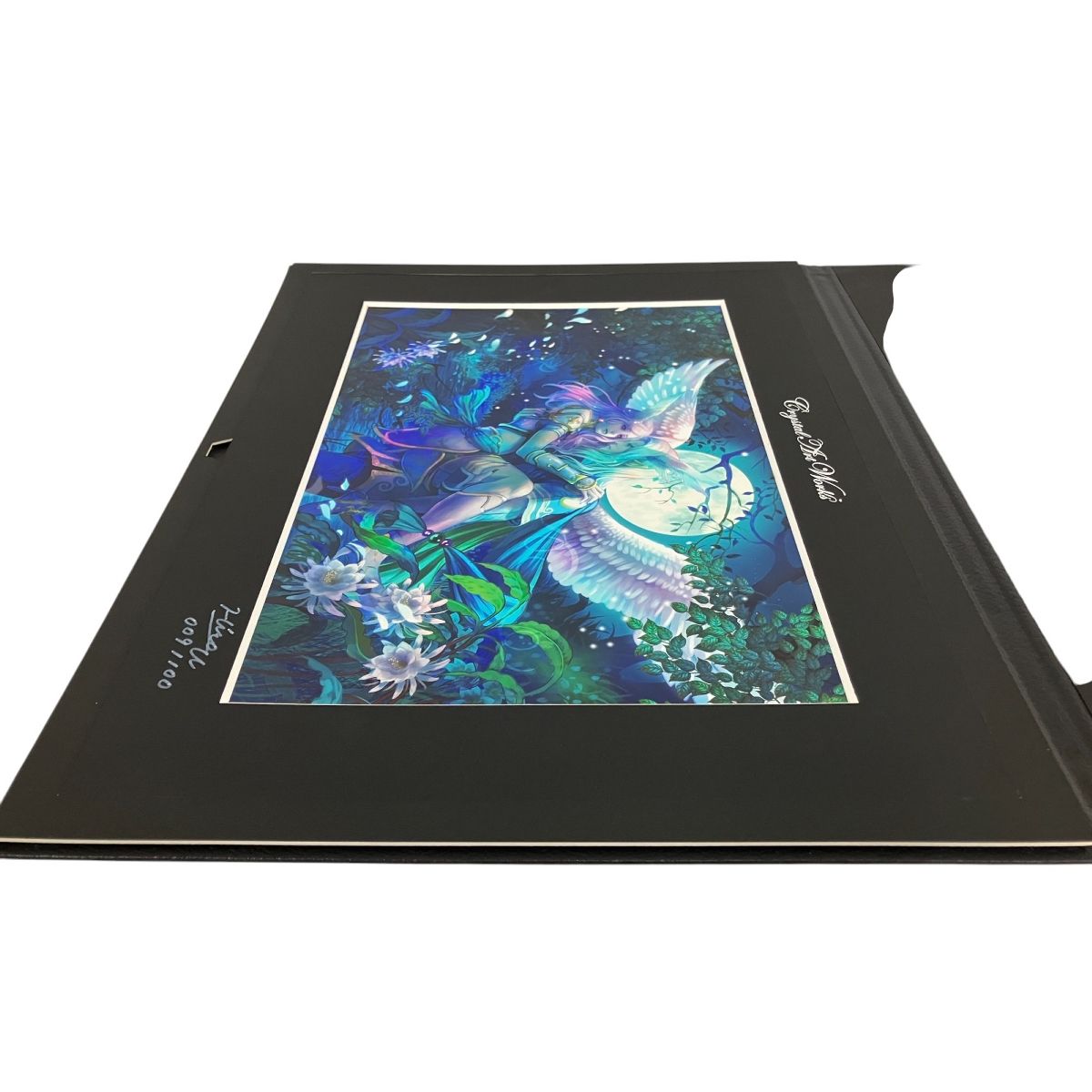 ウスダヒロ B10178168