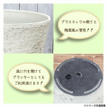 ベニーズ プランター