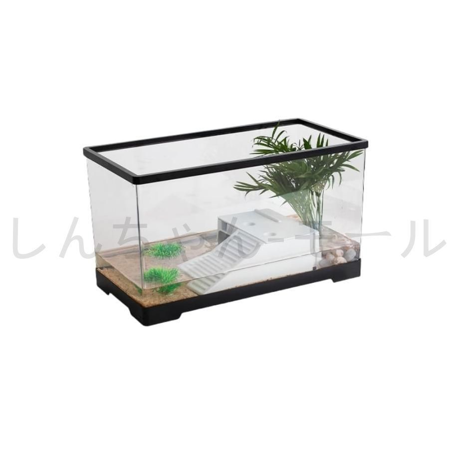 osica 宇崎花 winner プロモ