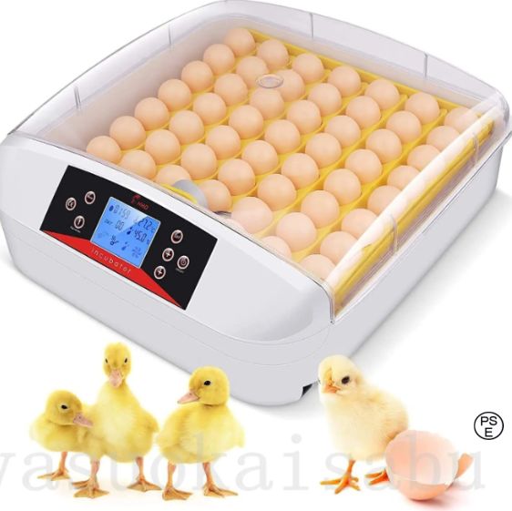 鳥類 子供教育用