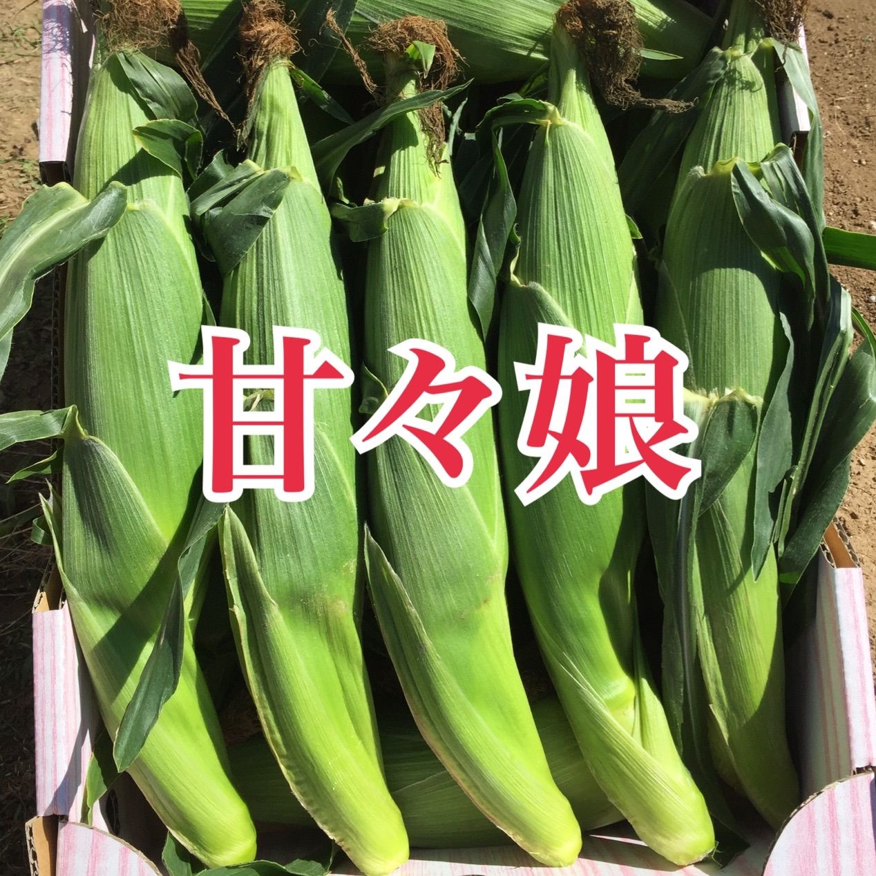 のサムネイル