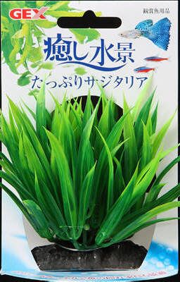 【同梱不可】【12個セット】ジェックス癒し水景たっぷりサジタリア