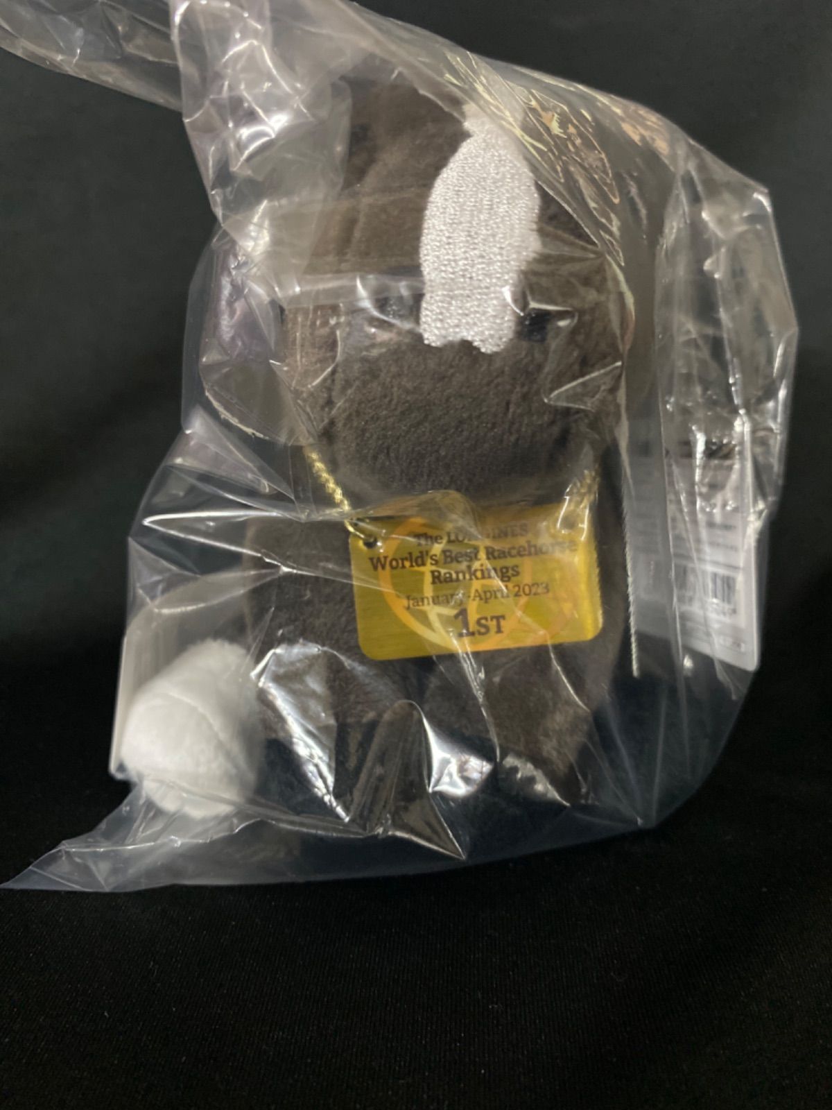 アイドルホース　イクイノックス　ドバイシーマクラシック アイドルホース イクイノックス ドバイシーマクラシック