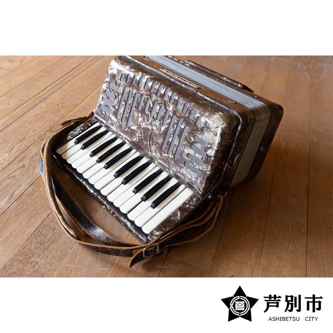 【ケース付き】レア‼️ 動作品 アコーディオン ノビリティ 鍵盤楽器 Amazon | PLAYTECH (プレイテック) 鍵盤アコーディオン 60ベース