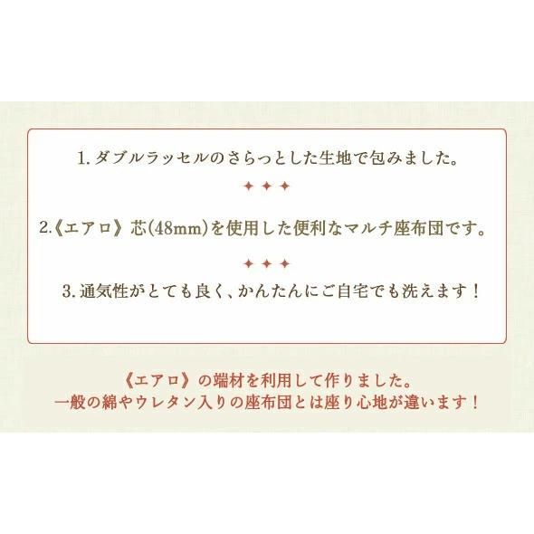 エアロ48mm芯