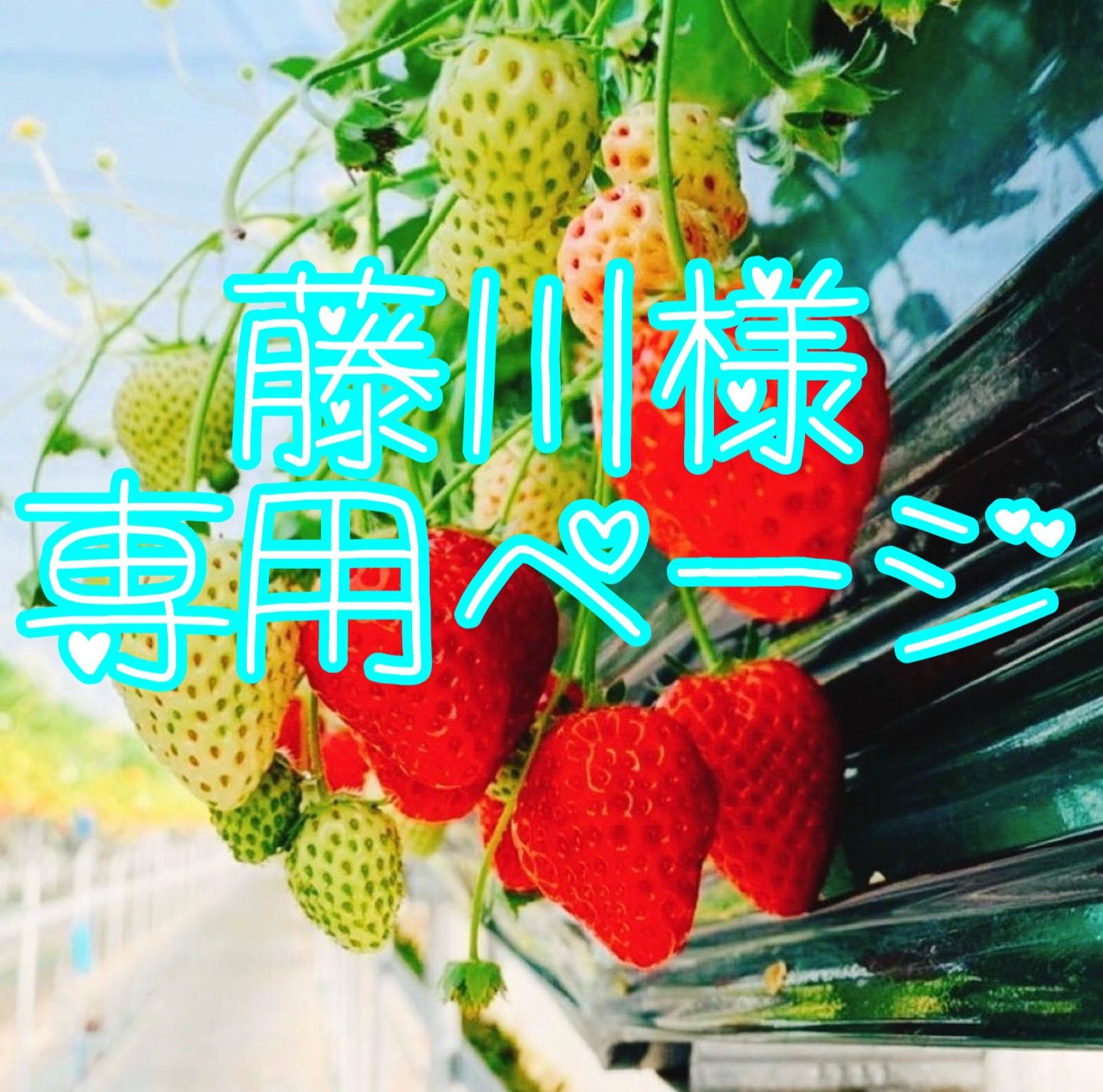 strawberry様 専用ページ strawberry様専用 strawberry♡さま専用