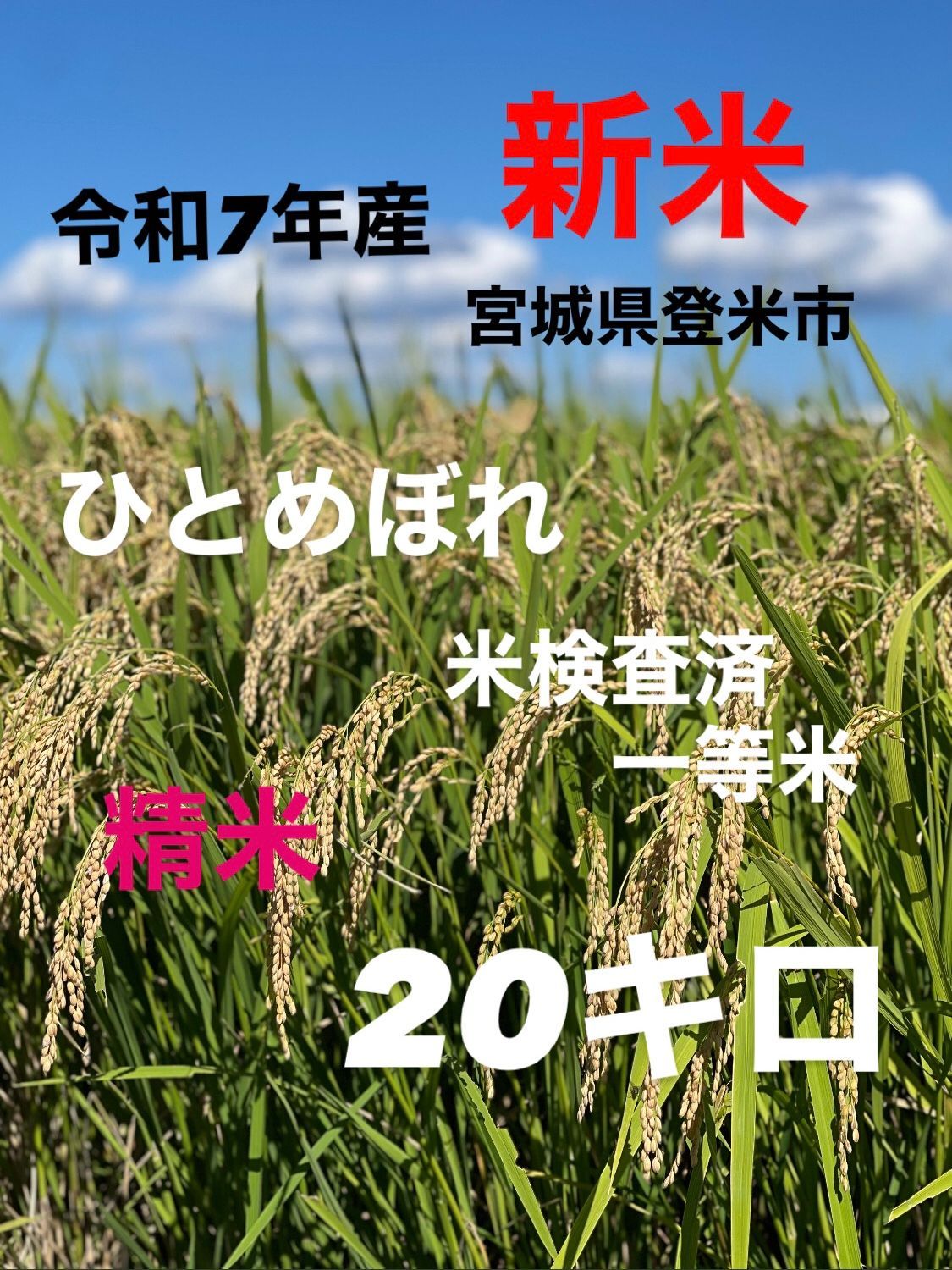 新米 令和7年産 ひとめぼれ 精米 一等米 20キロ 宮城県登米市