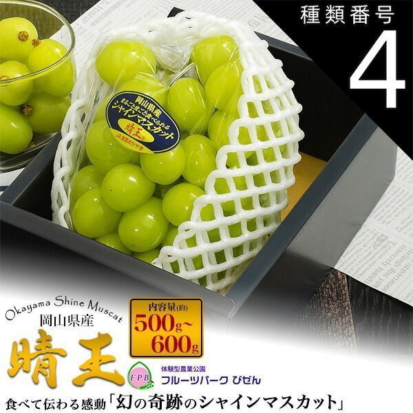 食品 種類4：約600g/2房 [予約] 送料無料 岡山県産 シャインマスカット