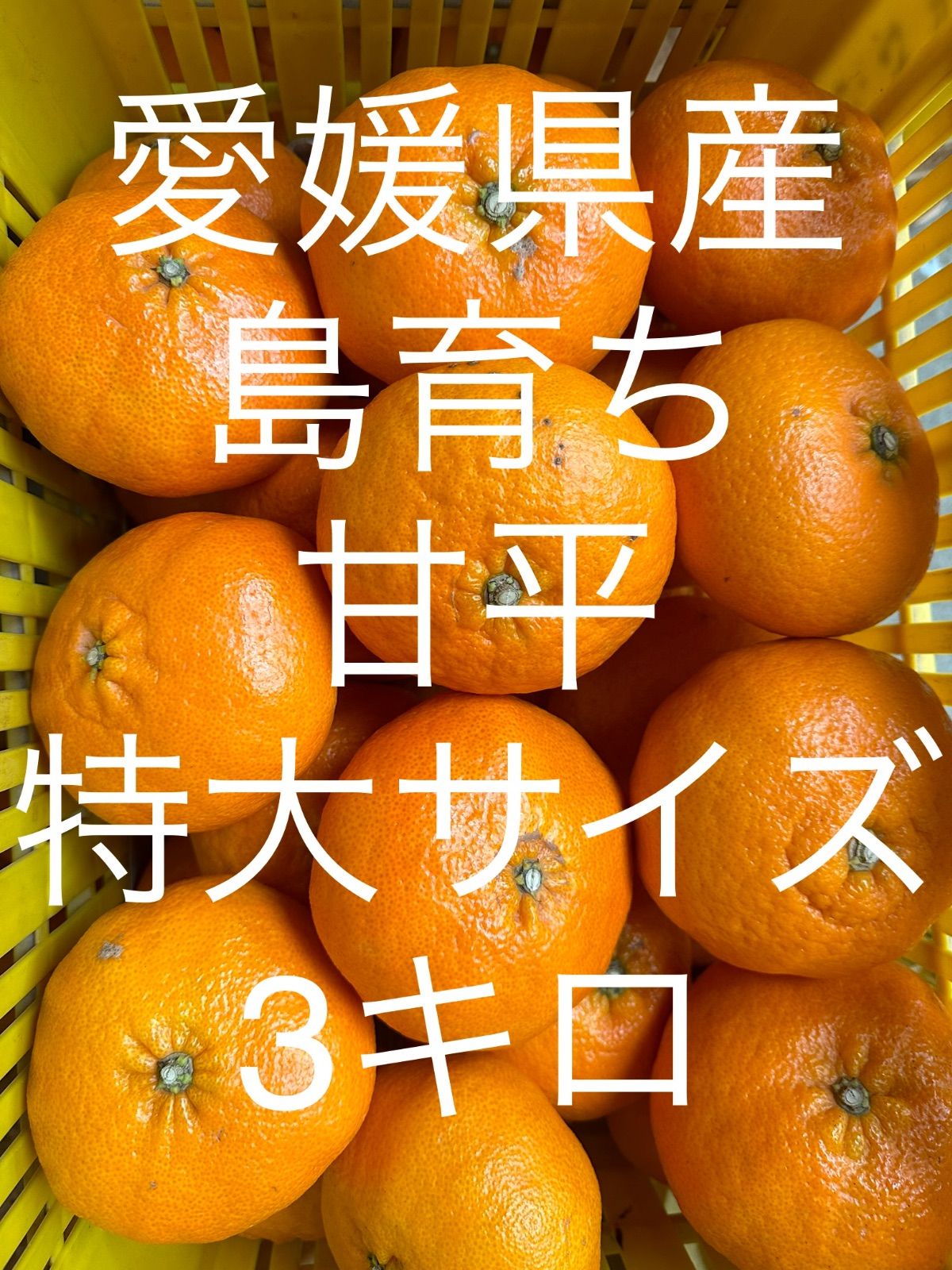 ト送料込 愛媛県産島育ち柑橘ジュースセット4種4本 | elecload.com