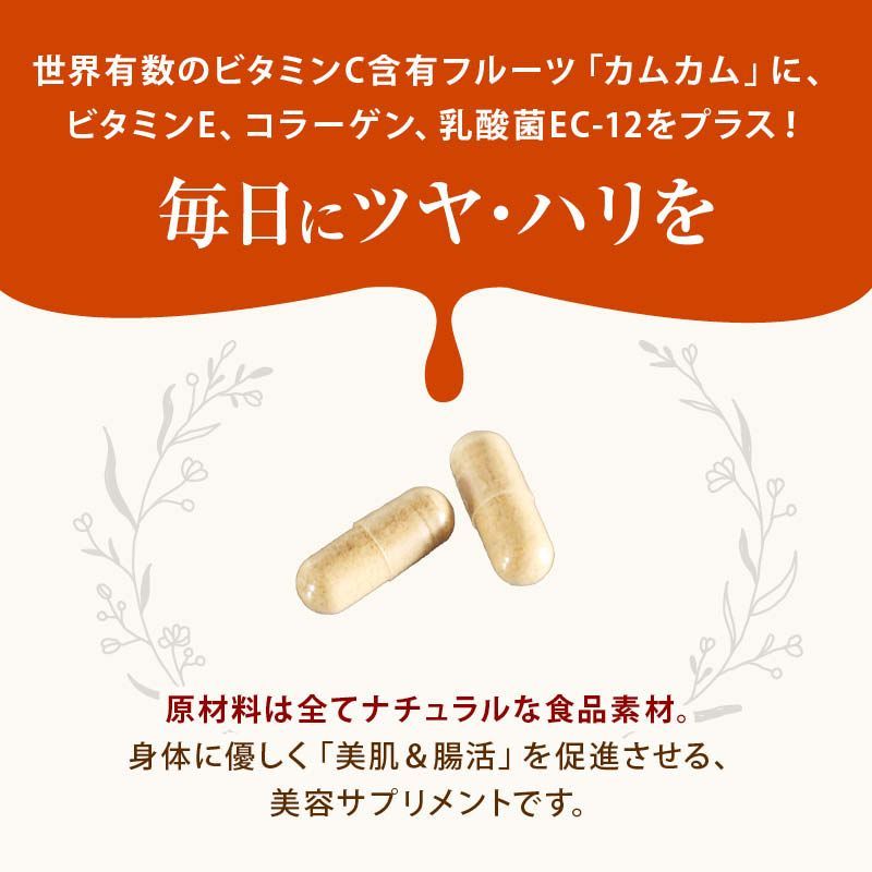 コラーゲン 乳酸菌