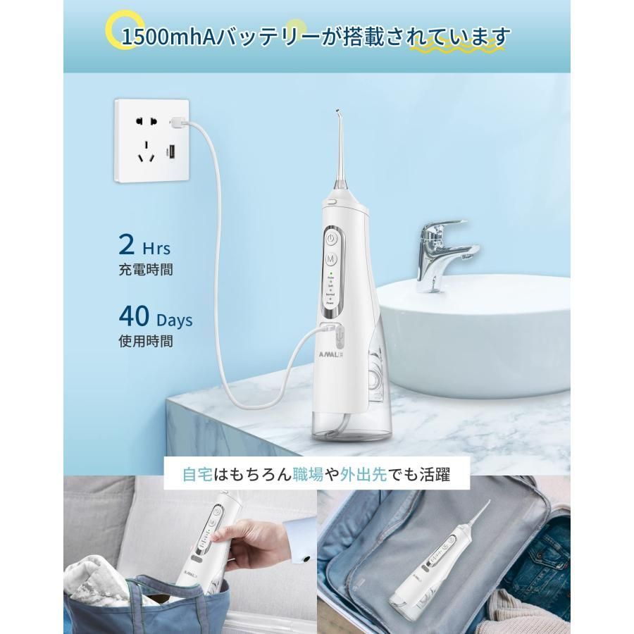 口腔洗浄器 4モード USB充電式 IPX7防水 310ml大容量タンク