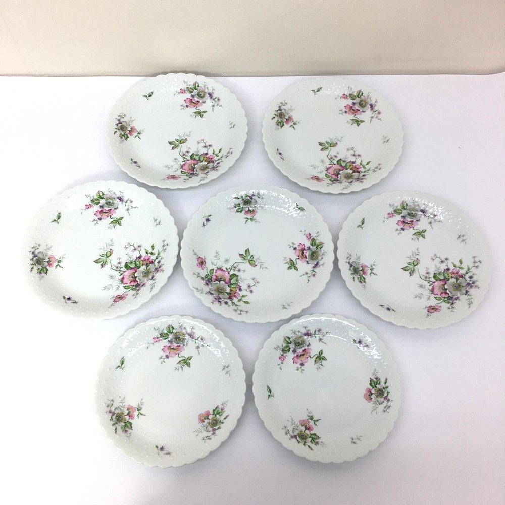 野鳥絵皿 フランス リモージュ フランクリンポーセリン 12枚 Limoges