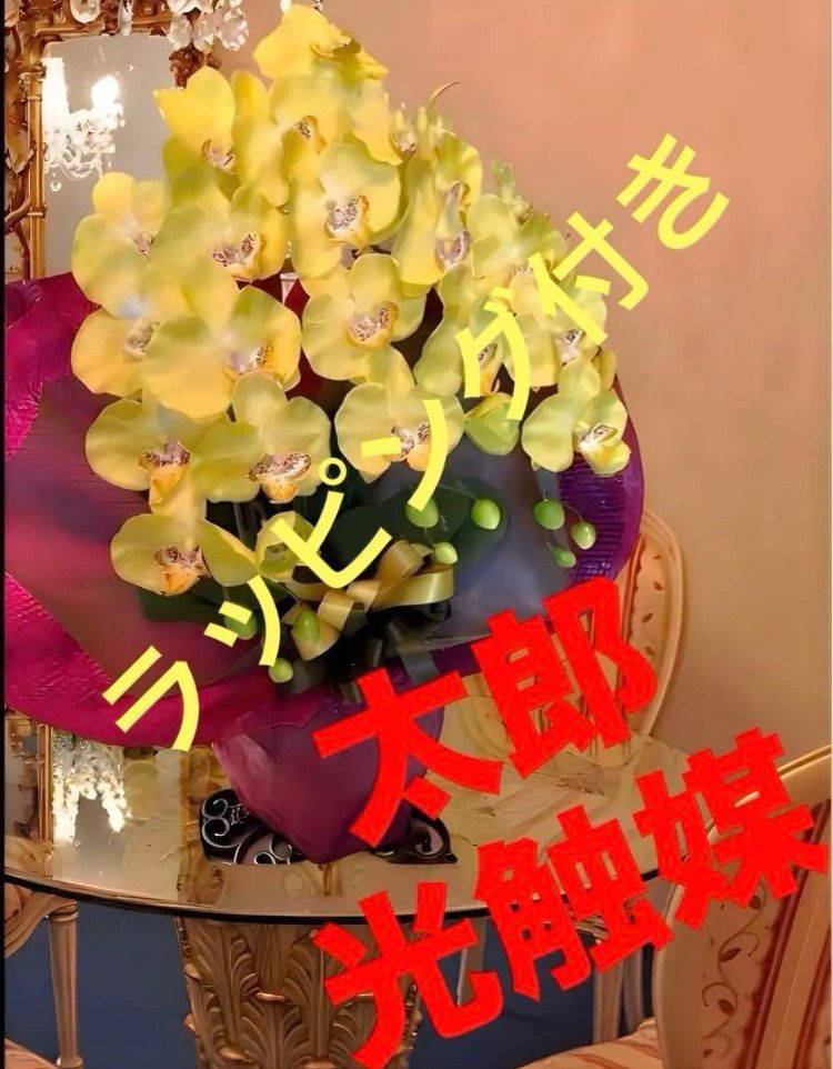 光触媒　人工観葉植物　ウォールグリーン　フェイクグリーン　コーヒーの木g@'t 光触媒 人工観葉植物 ウォールグリーン フェイクグリーン