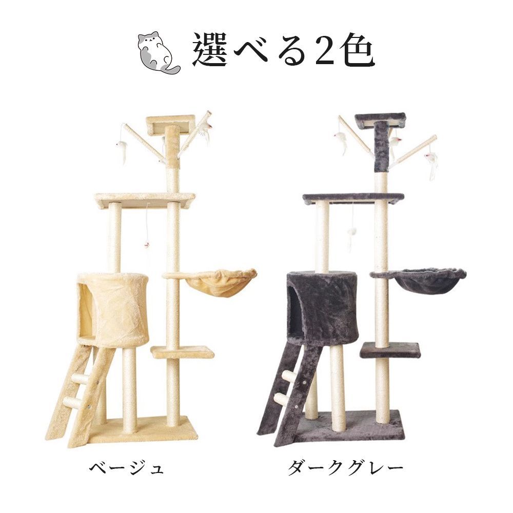 運動不足解消 爪磨き