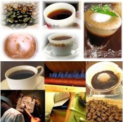 台形コーヒーフィルター 1〜2人用 40枚入りギフト コーヒー 送料無料
