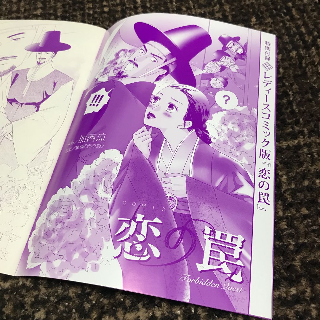 ハンソッキュ主演 韓国映画 淫乱書生 恋の罠 パンフレット - メルカリ
