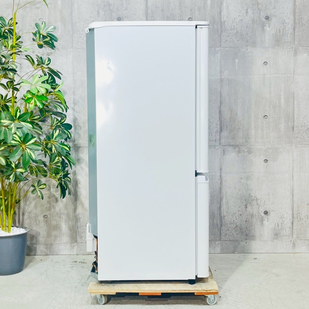 2024年製 2ドア冷凍冷蔵庫 146L