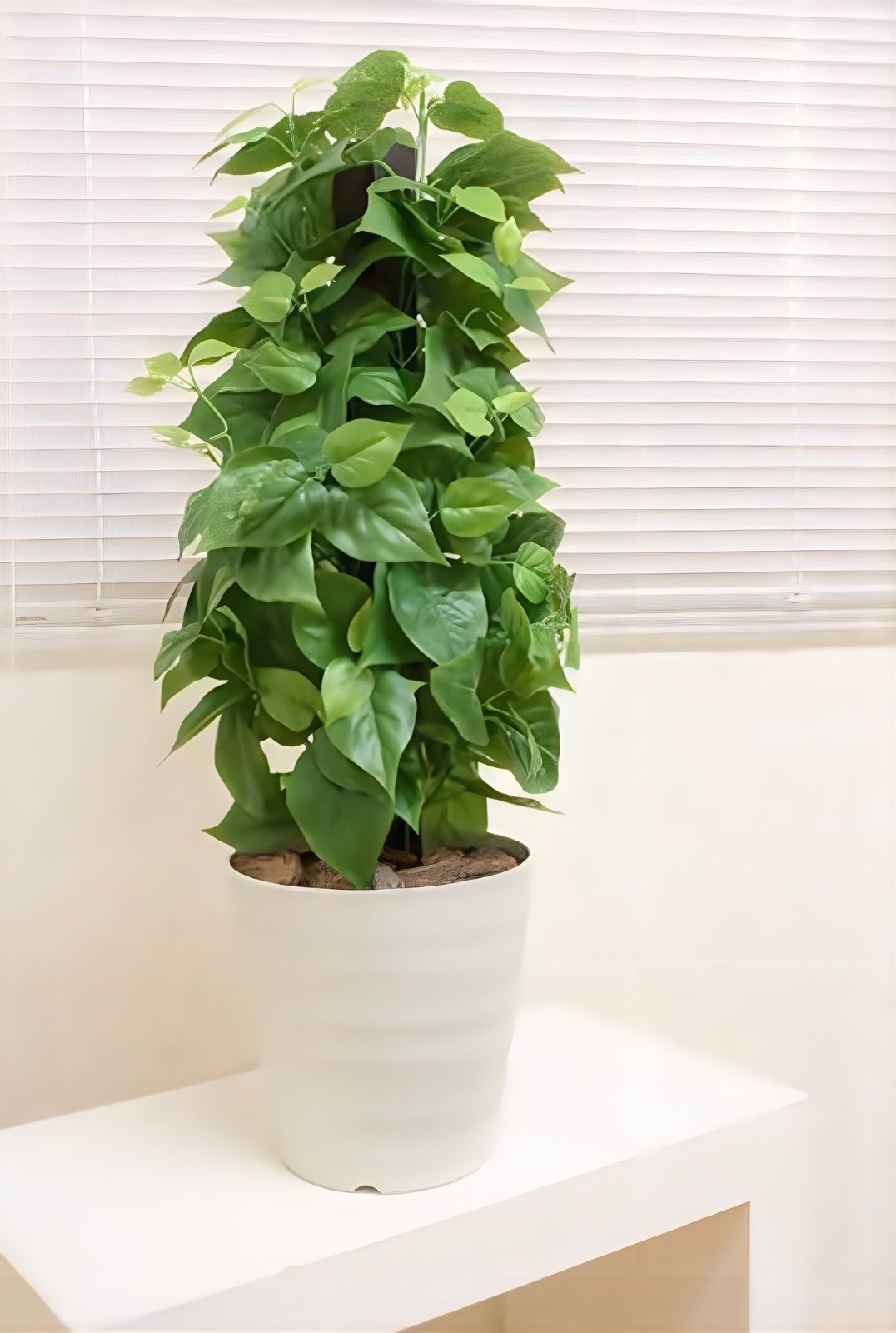 注文 光触媒 人工観葉植物 ウォールグリーン フェイクグリーン ポール