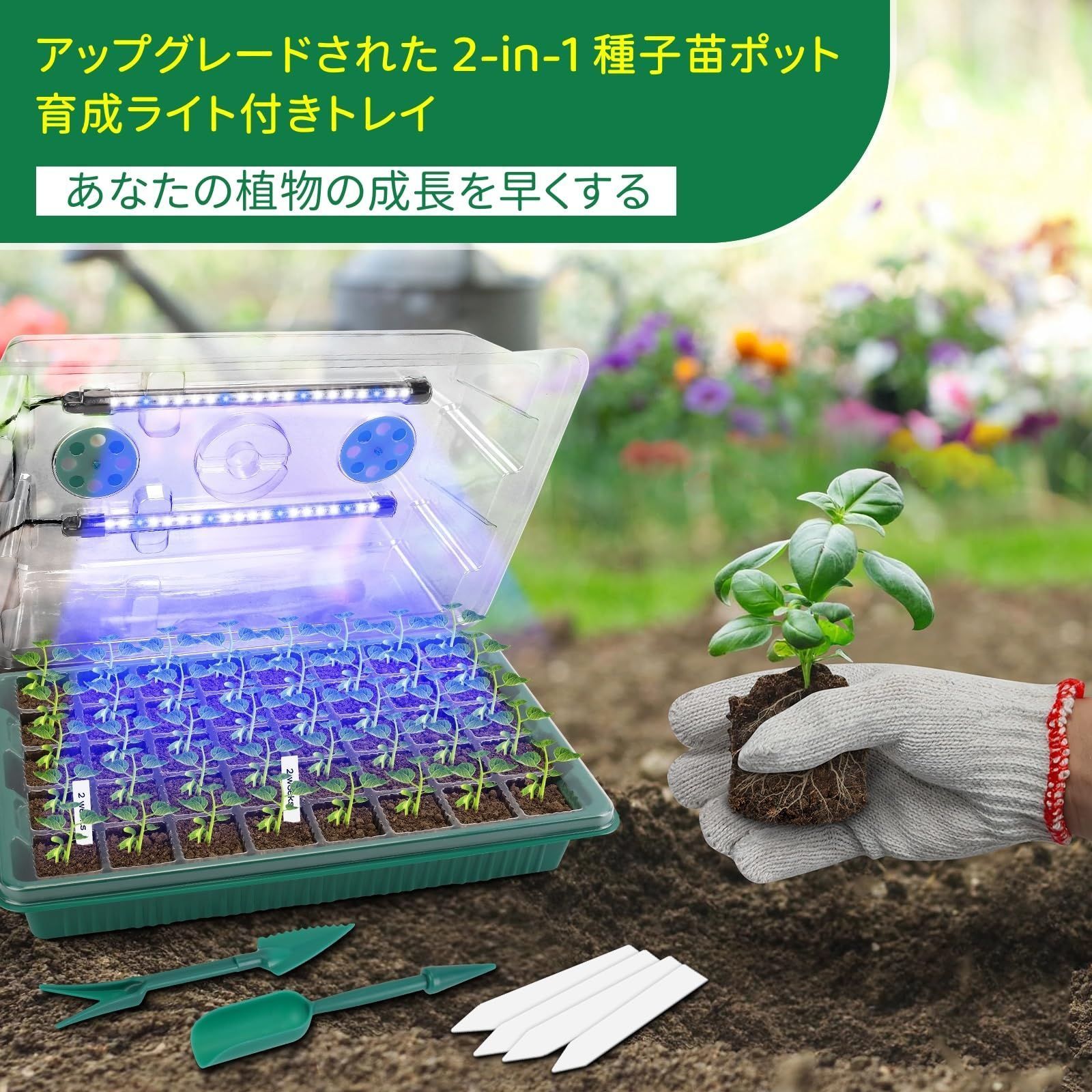 植物育成ライト付き 家庭菜園