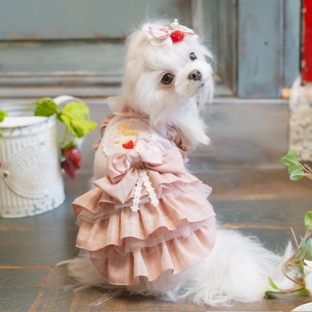 犬用品 cannanaいちごのワンピース SSサイズ