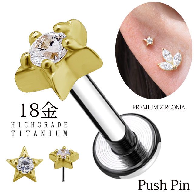 鯨歯アクセサリー アーカイブ - ホエールタウンおしか 鯨歯 マッコウ