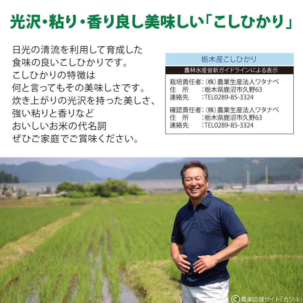 新米 無洗米 送料無料 栃木産 農家直送でお届けします 令和4年 10kg