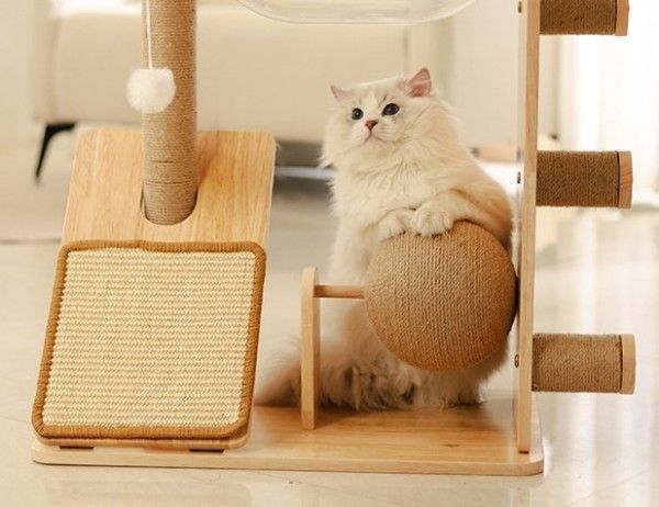 ねこ 爪とぎ