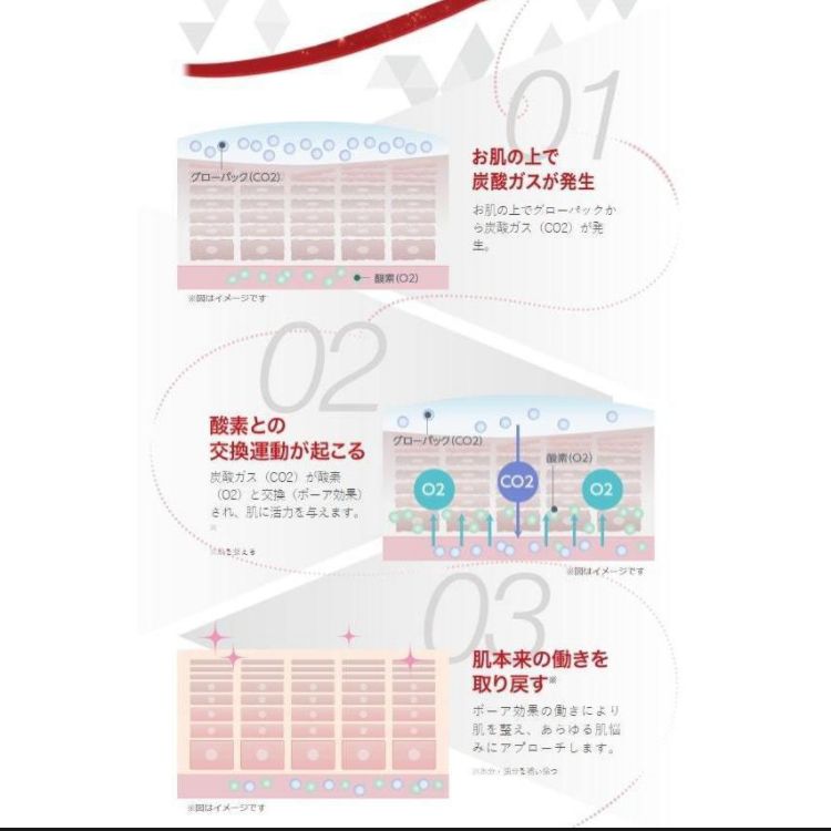 リーリさま専用 5箱セット 新品 エニシーグローパック 炭酸ガスパック