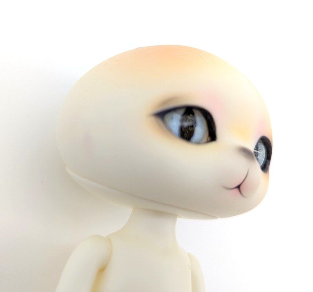 DAVINCI Bean